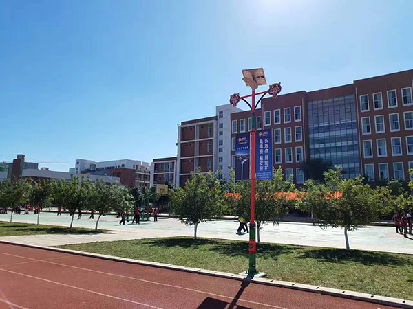 太陽能路燈，太陽能路燈廠家，太陽能路燈價格