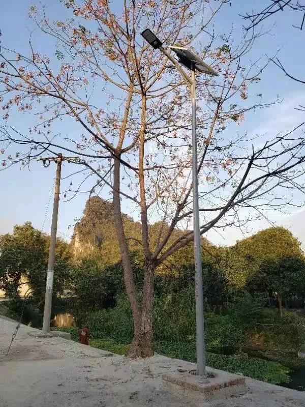 照亮農村幸福路！源碼攜手建設柳州“村屯光亮工程