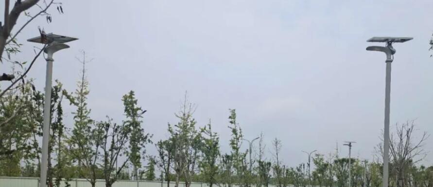 晴空排云雁高飛，源碼項目掀熱潮