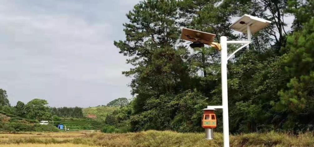 低溫如何提高太陽能電池板發電量