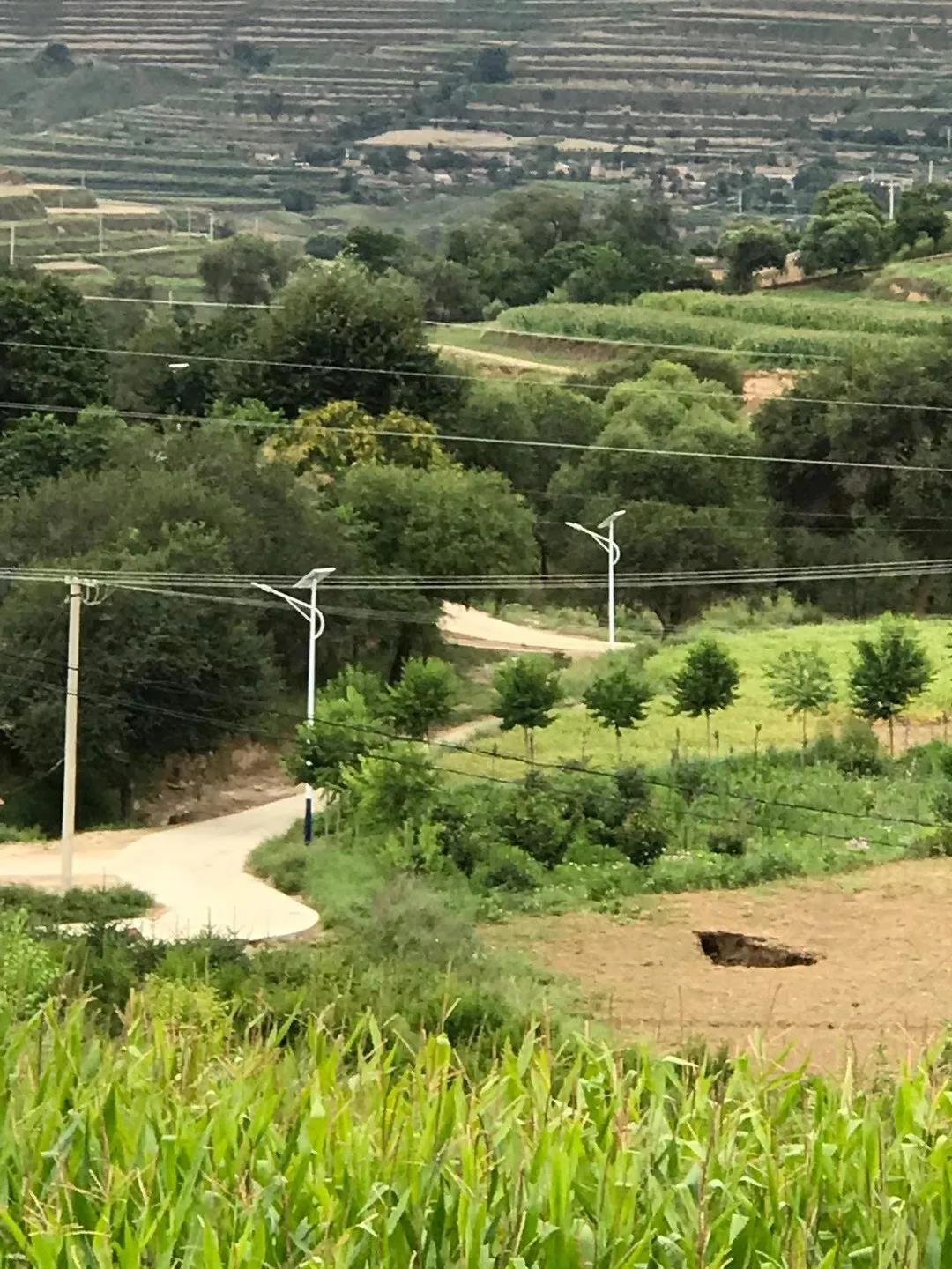 案例賞析〡云雁高飛，助力鄉村振興