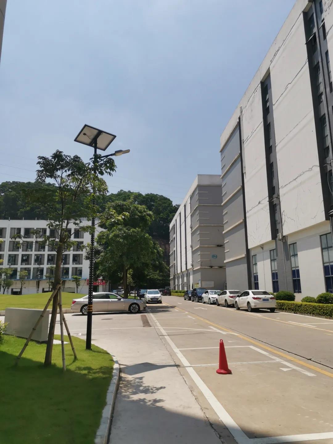 案例賞析〡云雁高飛，助力鄉村振興