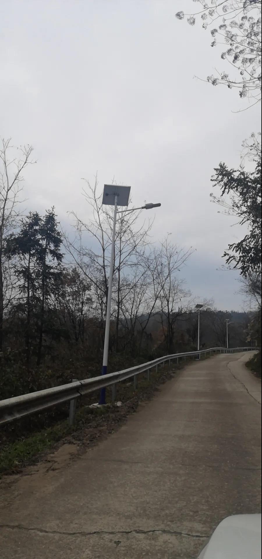 案例賞析〡云雁高飛，助力鄉村振興