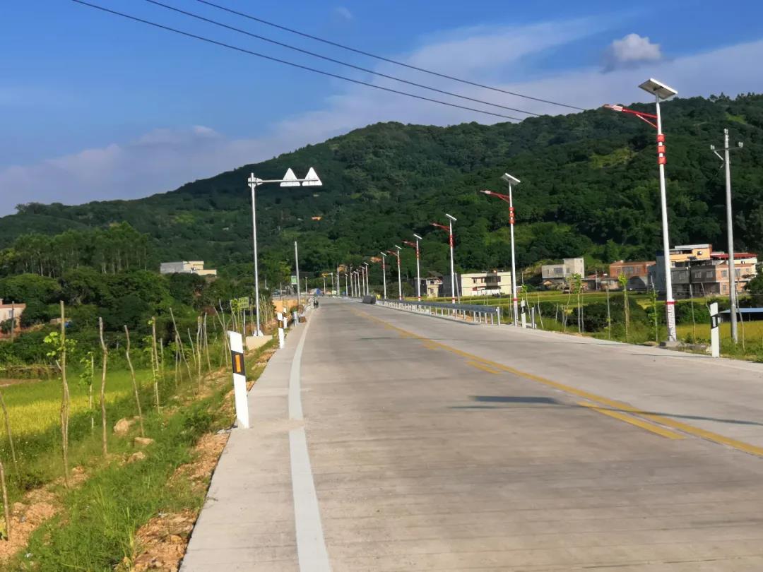 案例賞析〡云雁高飛，助力鄉村振興